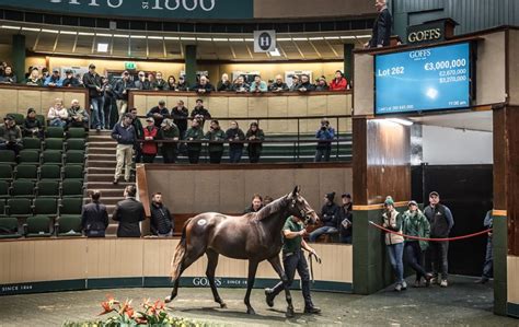 Goffs bloodstock - They were joined by a whole host of agents and trainers, including Oliver St Lawrence, who signed for the €2.4 million top lot at Arqana, various members of team Blandford Bloodstock, whose Stuart Boman secured last year’s £240,000 Doncaster sales-topper, and Luke Lillingston, buyer of recent Goffs UK …